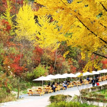 (10小时)韩国江原道路线2包车| 束草江陵襄阳 /首尔出发