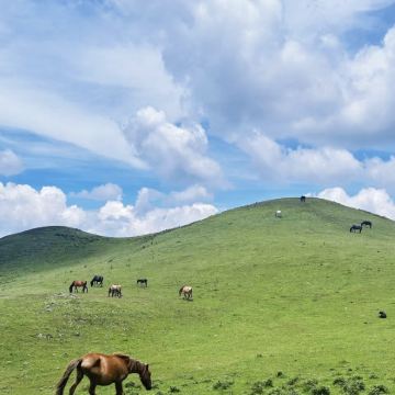 六盘水乌蒙大草原+海坪彝族文化小镇+北盘江大桥一日游
