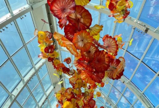 美国西雅图太空针塔+奇胡利玻璃园一日游/行程可调-可定制多日【精选热门景点，高效游玩不走回头路，深度了解文化内涵，贴心服务保障，轻松享受旅程，性价比超高的旅行。】