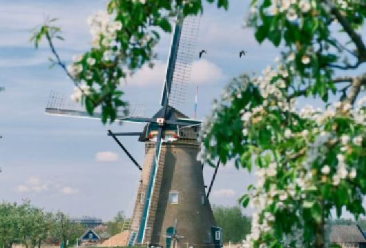 荷兰阿姆斯特丹小孩堤防+鹿特丹+海牙【中文包车+行程定制】【尊享一对一高端行程定制，豪华包车专属礼遇，专业旅行顾问24小时恭候垂询。】