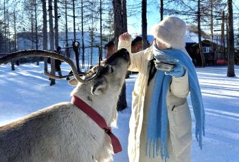 亚布力新体委阳光滑雪场一日游高铁接【网红雪服+雪镜+头盔】【[VIP出行]亚布力西站/酒店上门接（亚布力南站/亚布力滑雪旅游度假区内免费接送）】