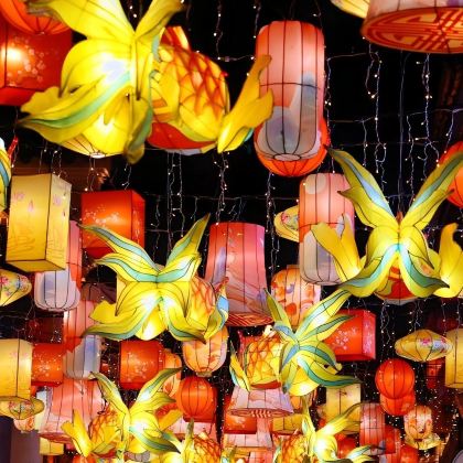 合肥市区包车9小时一日游|快速打卡合肥博物院+市区路线任选