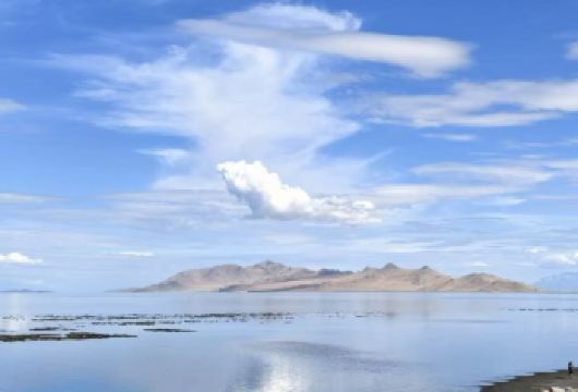 美国盐湖城邦纳维尔盐藻+粉红湖【中文包车+黄石公园定制】【专属私密，一家一团，尽享自在旅途。】