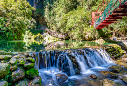 杉林溪森林园区+忘忧森林一日游｜可包车【春天牡丹、夏天绣球、秋天枫红、冬季云雾缭绕，一场与四季花草的美丽邂逅】