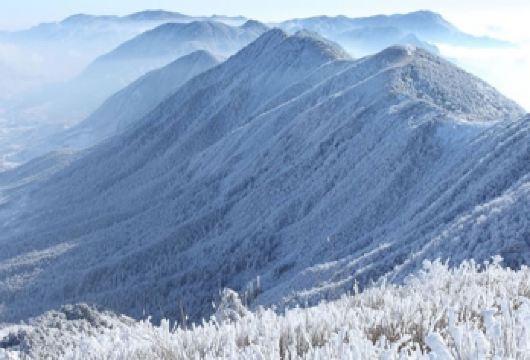 【太子尖一日游】海拔1557米看雪，纯玩无购物【低于12人活动自动取消（只能原额退款或改其它同期成团线路，不做任何赔偿）】