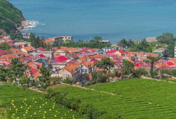 上门接送【2-6人团】崂山赶海园青山渔村环海公路小麦岛一日游【亮点一：赶海体验，网红打卡，只看美景不爬山，轻松游】