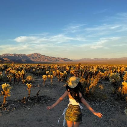 美国凤凰城/约书亚树国家公园-救赎山12h包车【精选老司机】