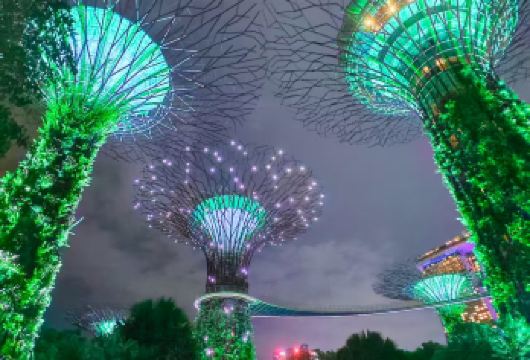 新加坡必打卡N大网红地（鱼尾狮，巨型树洞，滨海湾花园无门票）【司导服务，让您轻松打卡。】