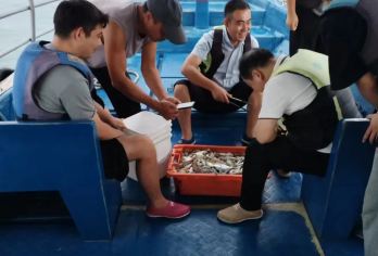 广东惠州双月湾渔船包船出海1小时+捕鱼体验+观光+渔获自由【蔚蓝的大海、清新的海风，让人瞬间忘却所有烦恼；】