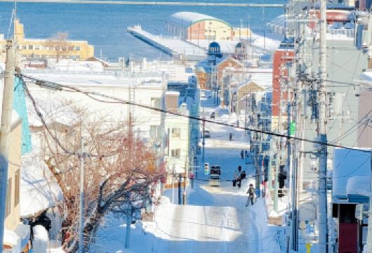 日本北海道小樽一日游｜天狗山｜札幌往返｜寻找《情书》中的美景【尊享一对一高端行程定制，多日豪华包车专属礼遇，专业旅行顾问24小时恭候垂询。】