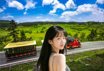 【8人小团】重庆武隆天生三桥+仙女山+乌江纯玩一日游+上门接【纯玩小团无购物不进店,景区直达免换乘】