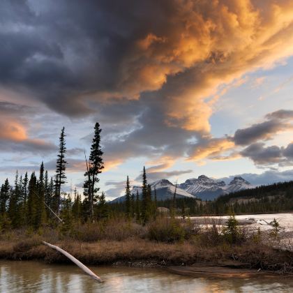 阿尔伯塔灵魂探索游【专属司导10H服务】