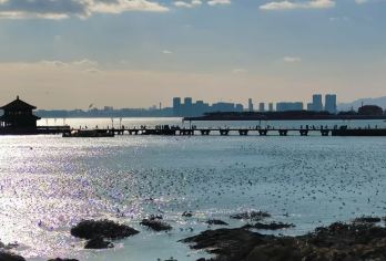 栈桥+八大关景区+小鱼山公园+啤酒博物馆+航船中心+五四广场【经典海滨文化一日游、独特的啤酒文化、拥有德式、日式、法式的老建筑】