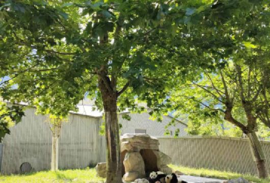 卧龙中华大熊猫苑神树坪基地一日游【到卧龙看福宝 成都往返】【卧龙神树坪中华大熊猫苑景区直通车，一人一座，当天往返】