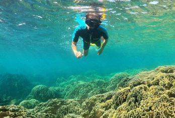 富国岛VIP高品质10人 浮潜小团【2次浮潜+珊瑚群+接送】【快艇出海探索富国海底珊瑚山、半月礁、May Rut 岛......有水下向导】