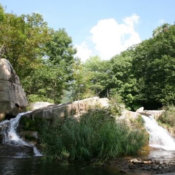 抚顺三块石森林公园一日游【纯玩跟团沈阳出发】