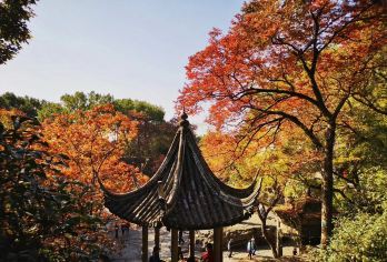 虎丘山风景名胜区+苏州博物馆+同里古镇【10小时vip服务】