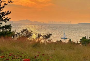 青岛里院大鲍岛文化街区+青岛网红墙+宫崎骏漫画+小鱼山+栈桥【老城区一日游-探寻青岛百年历史足迹】