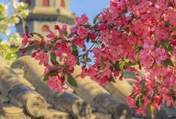 北京古北水镇+司马台长城一日游【赏日游全景◆观水舞秀·登长城【[服务升级]品质大巴舒适座椅，景区9小时自由行，贴心&自由；】