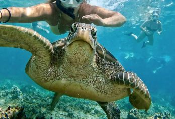 马布岛半日游【可选上/下午场丨打卡网红水屋丨中/英文可选】【懒猫自营游艇贝拉号 卡帕莱集合点出发】