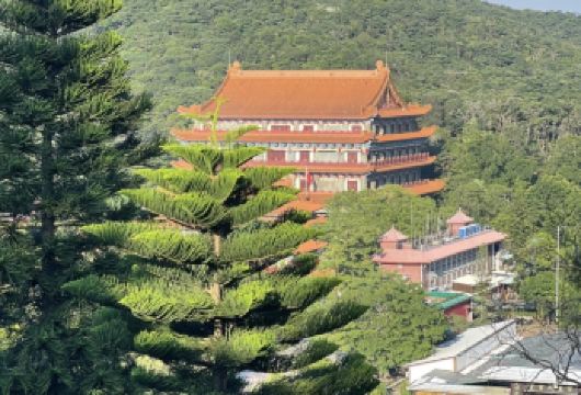 香港昂坪360缆车一日游（专车接送，不含门票）【360缆车云端漫步​：透明车厢俯瞰山海全景】