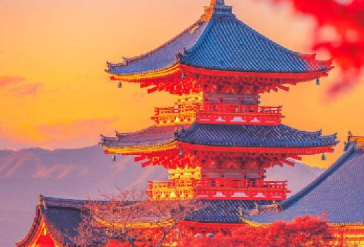 日本京都+奈良+石塀小路一日游/行程可调-可定制多日【包车一日游，解锁旅行新方式！独立车辆配备经验丰富的老司机，为您量身打造专属行程。】