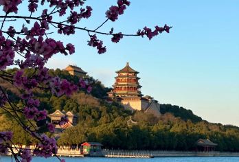 北京颐和园一日游【可选含票/拼团&私家小团】 【[专线导游]带您探寻历史古迹精，带您远离城市喧器走进画中世界，赏园内春日美景】