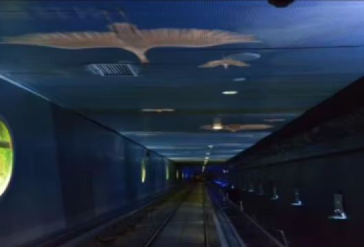 【2-8人小团&可包团】816工程+白鹤梁+乌江观景台一日游【[舒适旅途]臻享纯玩团，不以任何形式擦边购物！】