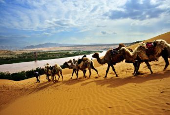 宁夏中卫腾格里一日游【腾格里天然沙漠浴场+沙漠迪士尼沙坡头】【专属小团深度体验：2-6人精品小团，银川市区上门接送。行程自由灵活，充足时间拍照游玩，纯玩无购物。】