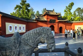 洛阳白马寺半日游【1h人工讲解|不含门票】【1h 人工精讲 解锁白马寺千年佛教文化与历史脉络】