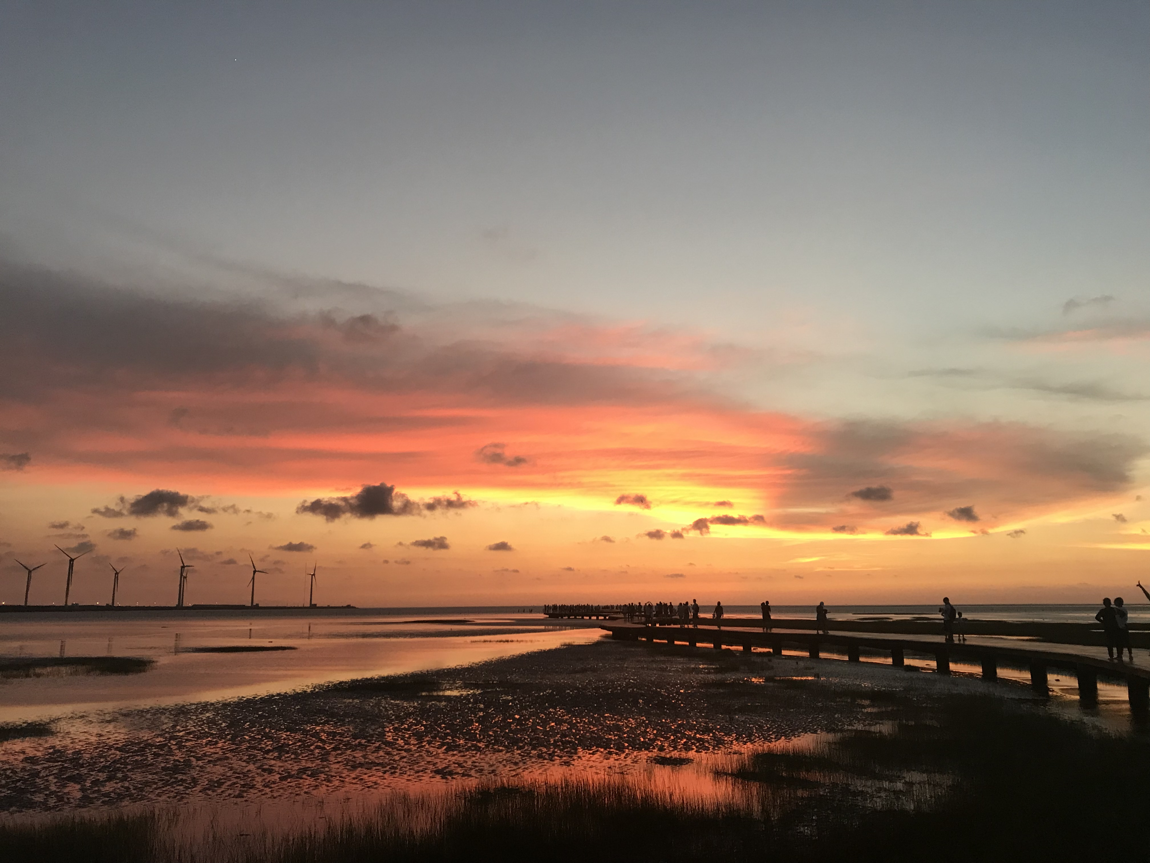 台中高美湿地+中社花市+春水堂+歌剧院+逢甲夜市【台中出发】