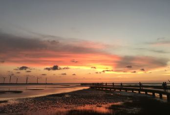 台中高美湿地+中社花市+春水堂+歌剧院+逢甲夜市【台中出发】【造访珍珠奶茶的诞生地「春水堂」享用经典珍奶，再游中社花市，于四季绽放缤纷花海中捕捉浪漫美照。】