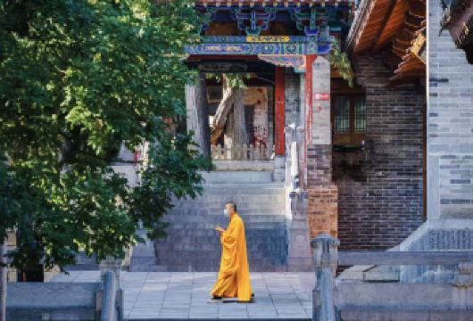 嵩山少林寺半日游【纯玩丨洛阳出发+专业导游带队】【专业导游带队，全程陪同讲解，出行无忧】