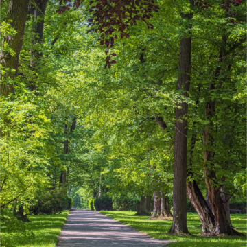 捷克|克鲁姆洛夫包车一日游【中文+行程可调+不含门票】