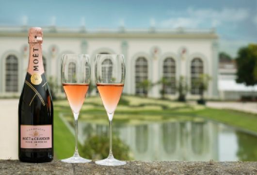 法国兰斯香槟酒庄包车一日游 中文司机+精选路线+酒店接送【大片的葡萄园风光，进入酒庄参观体验】