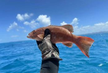 深圳南澳大澳湾沙滩+大鹏半岛出海快艇/游艇海钓一人起订可包船【游艇出海，与大海零距离接触，享受玩海的美妙时光】