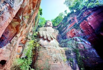 从成都市区出发：熊猫基地 +乐山大佛 一日游，双语导游C【[双语导游]专业中英文双语导游，一天时间带您玩转成都。】