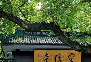 【灵隐寺禅修一日营】静心之旅祈愿 | 享净心素斋/开示课程【虔诚祈愿，为家人、万物祈福，为生命添福、添寿、添智慧。】