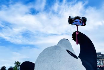 成都大熊猫繁育基地+都江堰（拜访大熊猫花花|千年水利工程）【可选英文导游|专车接送|行程可调|可定制行程】