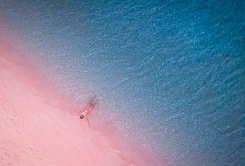 科莫多快艇全日游 | 粉红海滩 | 帕达尔岛 | 酒店接送【踏上舒适的快艇之旅，探索科莫多国家公园内六大标志性景点！徒步前往帕达尔岛的壮丽观景点，与雄伟的蝠鲼一起浮潜，近距离邂逅传奇的科莫多巨蜥。船上提供午餐、浮潜装备和漂浮物等一切所需，让您尽享无缝衔接的体验。】