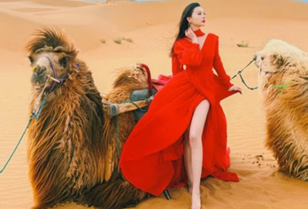 【纯玩小团】银川+中卫腾格里沙漠+沙坡头+66号公路一日游【打卡热门综艺地“沙坡头”，爸爸去哪儿同款沙漠，观大漠与黄河相依，高山和绿洲相伴，景观雄浑又不乏灵秀。】