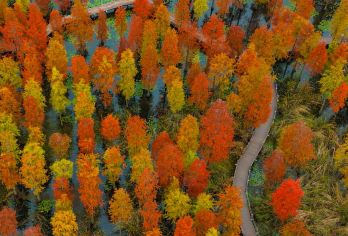 金牛湖+瓜埠山+桂子山+平山+恋山坝上草原+枫彩漫城+止马岭【六合一日包车游，私家团，家庭小包团，公司团建，上门接送。】