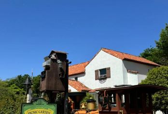 森林小火车-牛岛-月汀里-涉地可支一日游【 中文包车游】【想怎么游你说了算！！ 当地中文司机，在地生活，感受当地人的模式 美食攻略，旅途聚会，吃吃喝喝畅游当地】