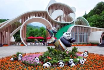 【遇见三熊 | 探秘熊猫基地】熊猫基地+三星堆研学一日营【感受到璀璨的古蜀文明】