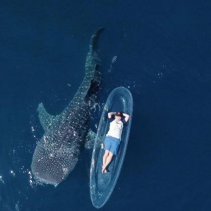 毛里求斯南部包车一日游【行程可调|可制定|8小时包车】