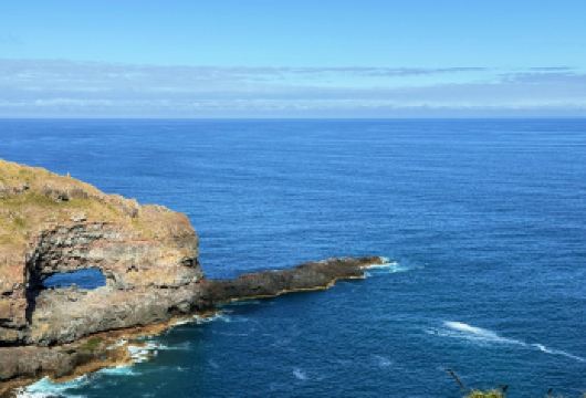 新西兰阿卡罗阿羊驼农场+看海豚｜基督城出发｜行程可调【尊享一对一高端行程定制，多日豪华包车专属礼遇，专业旅行顾问24小时恭候垂询。】