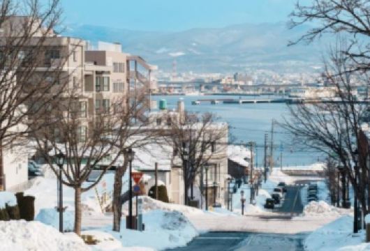 日本北海道-札幌往返-美瑛-富良野-旭川-红叶/冬季必打卡【专业行程定制，精选热门景点，高效游玩不走回头路，贴心服务保障，轻松】