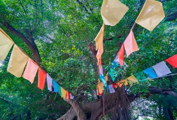 厦门小嶝岛一日游赶海抓蟹/帆船+景交车环岛观光+讲解+海鲜餐【[体验式旅行]岛上渔民带玩，体验挖海蛎、捕海蟹、捉鱼虾的渔家生活劳作】