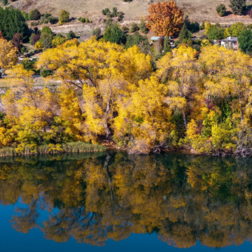 新西兰皇后镇往返半日游【含瓦纳卡、箭镇|中文司导】