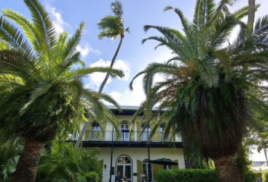 美国+迈阿密大沼泽地国家公园一日游/行程可调-可定制【包车一日游，解锁旅行新方式！独立车辆配备经验丰富的老司机，为您量身打造专属行程。】